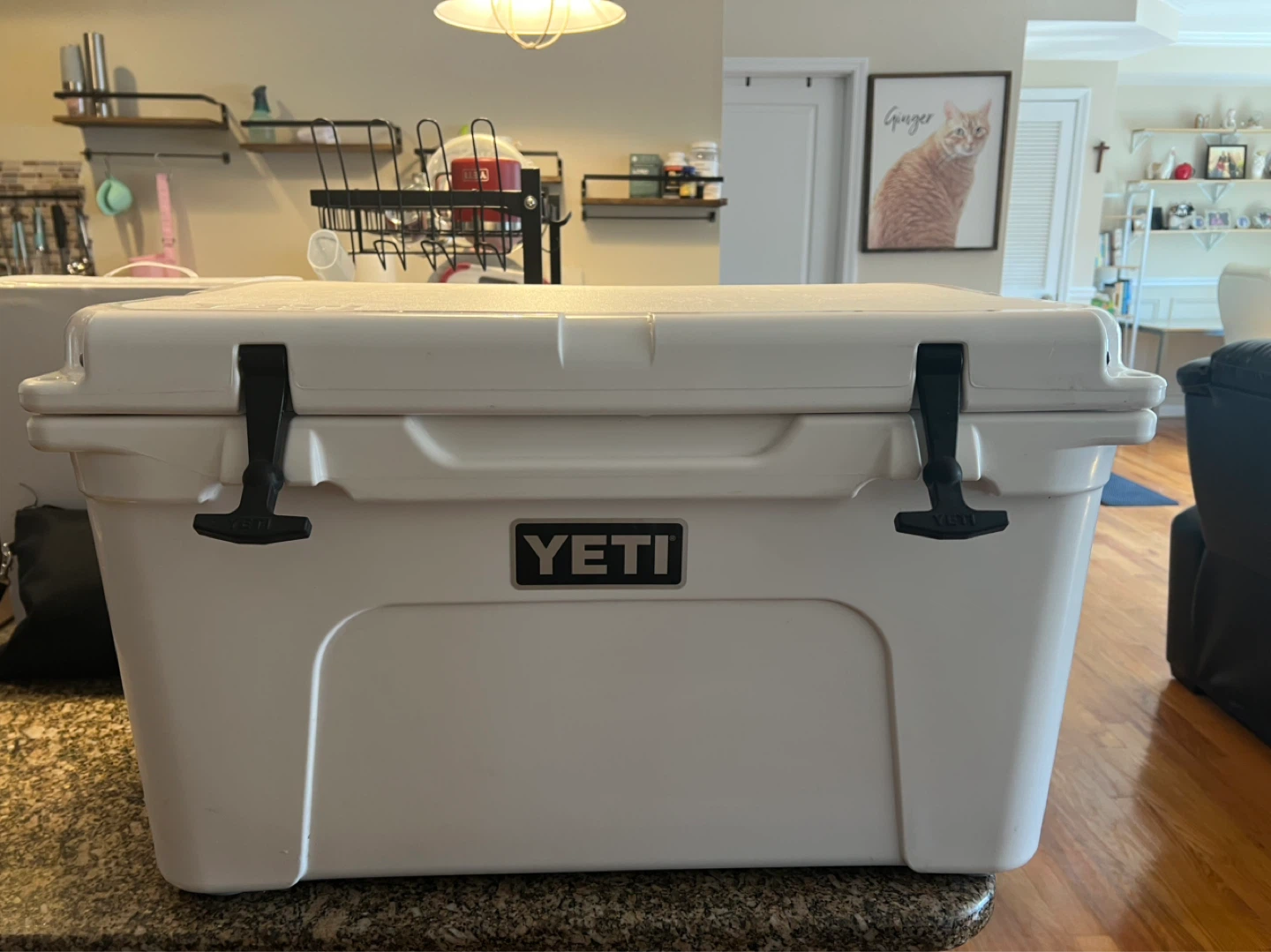 Yeti Tundra 45 Hard Cooler - photo 2
