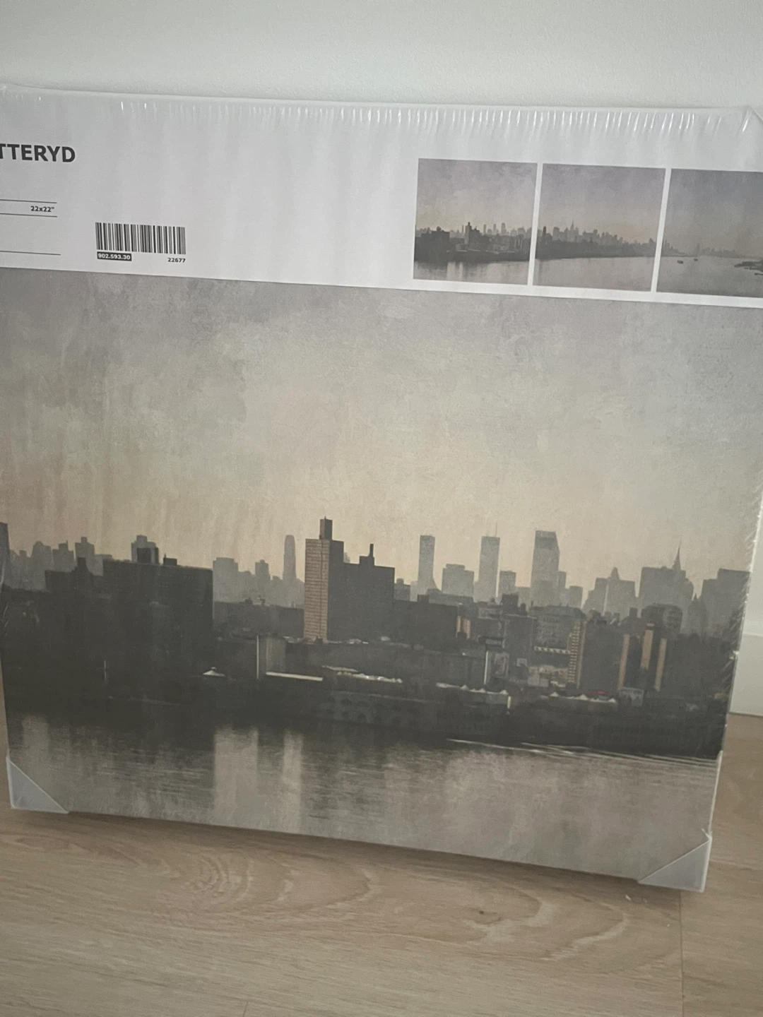 IKEA PJÄTTERYD Pete Kelly Canvas Print 56x56 cm - photo 2