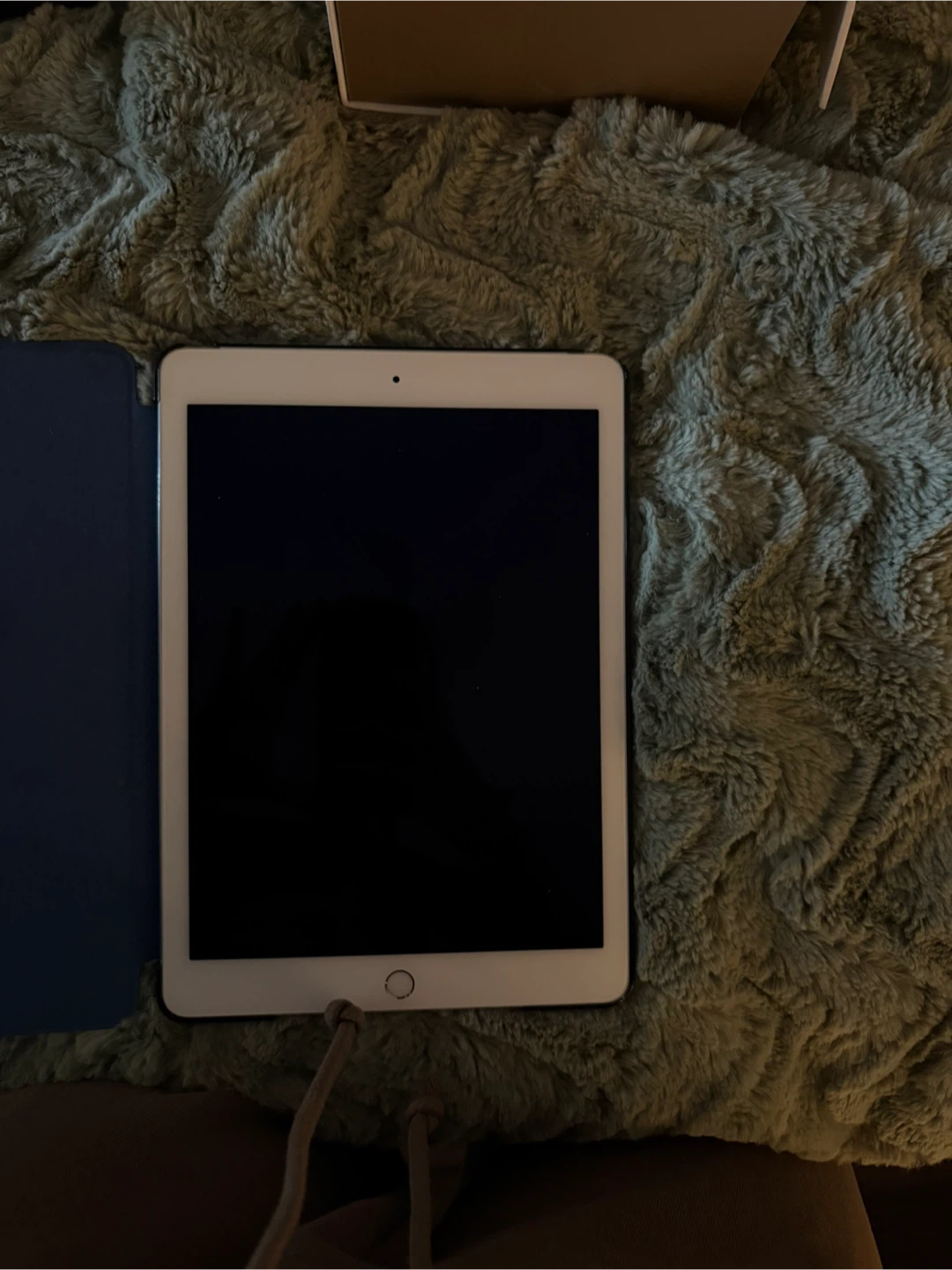 Apple Ipad Air 2