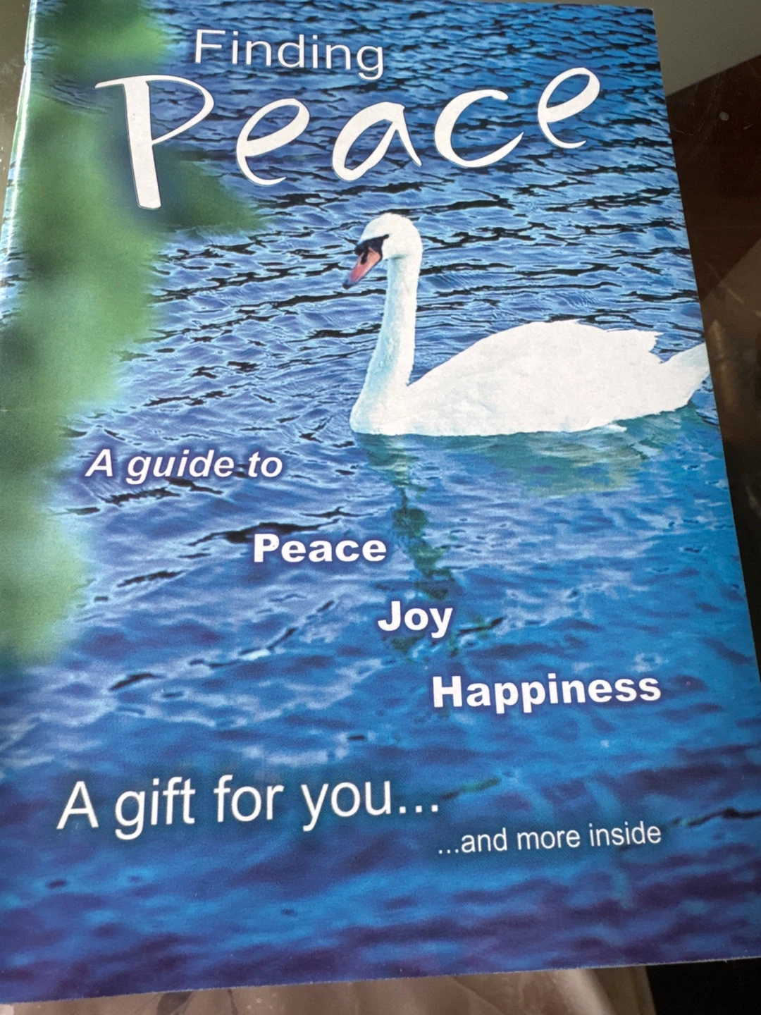 Finding Peace: A Guide to Peace, Joy, and Happiness Book