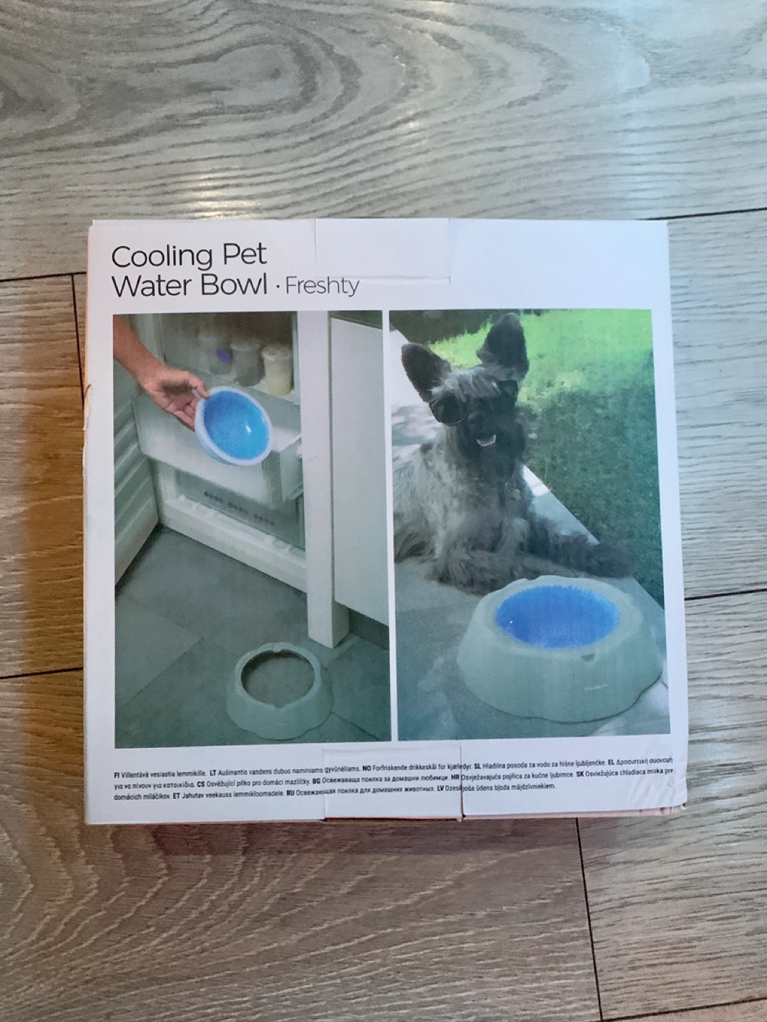 ‼️MUST GO‼️Cooling Pet Water Bowl - Freshty - photo 2