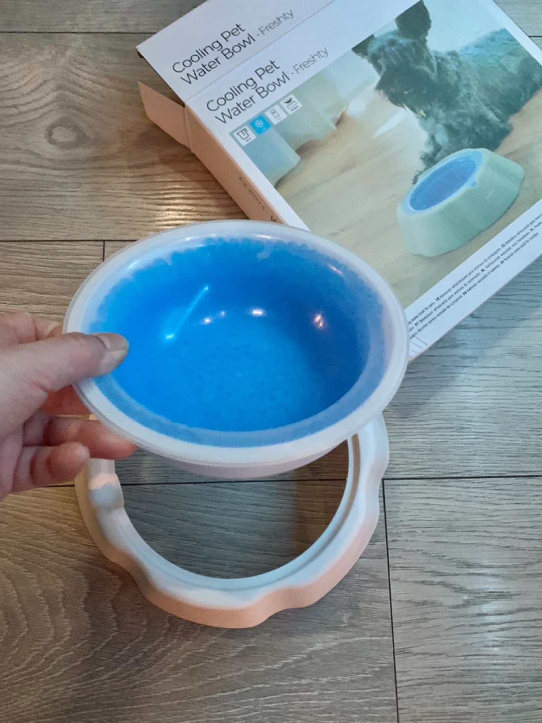 ‼️MUST GO‼️Cooling Pet Water Bowl - Freshty - photo 4