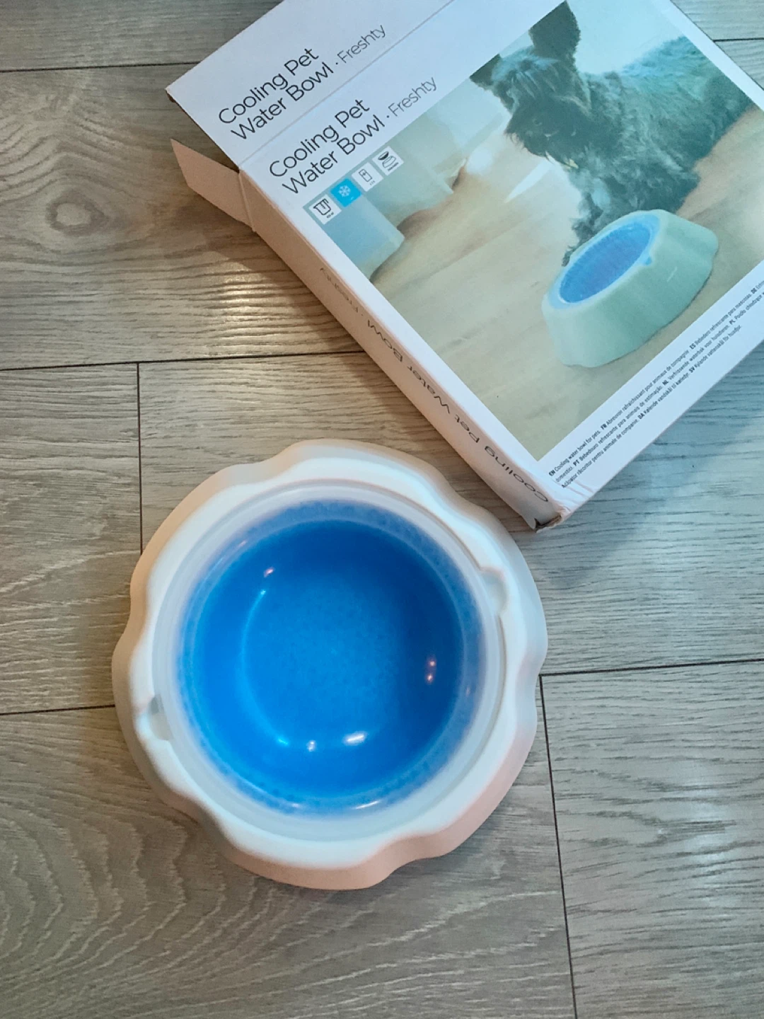 ‼️MUST GO‼️Cooling Pet Water Bowl - Freshty - photo 3