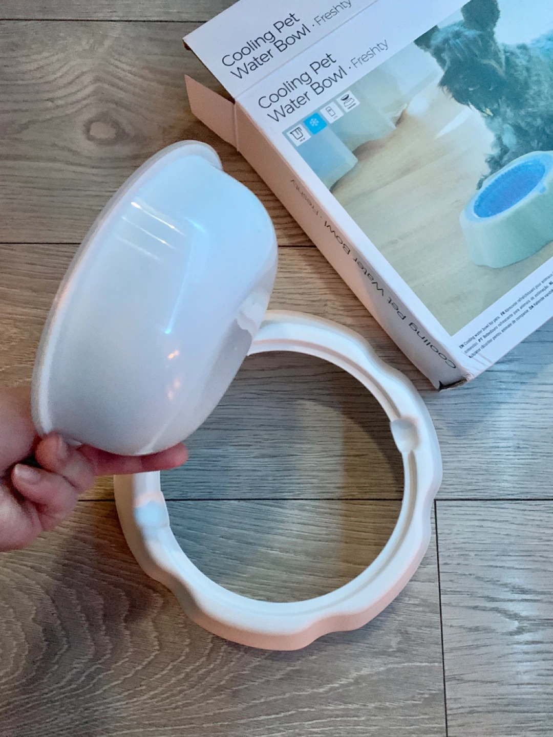 ‼️MUST GO‼️Cooling Pet Water Bowl - Freshty - photo 5