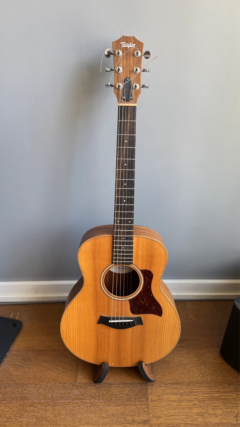 Taylor GS Mini Acoustic Guitar with Gig Bag and Stand