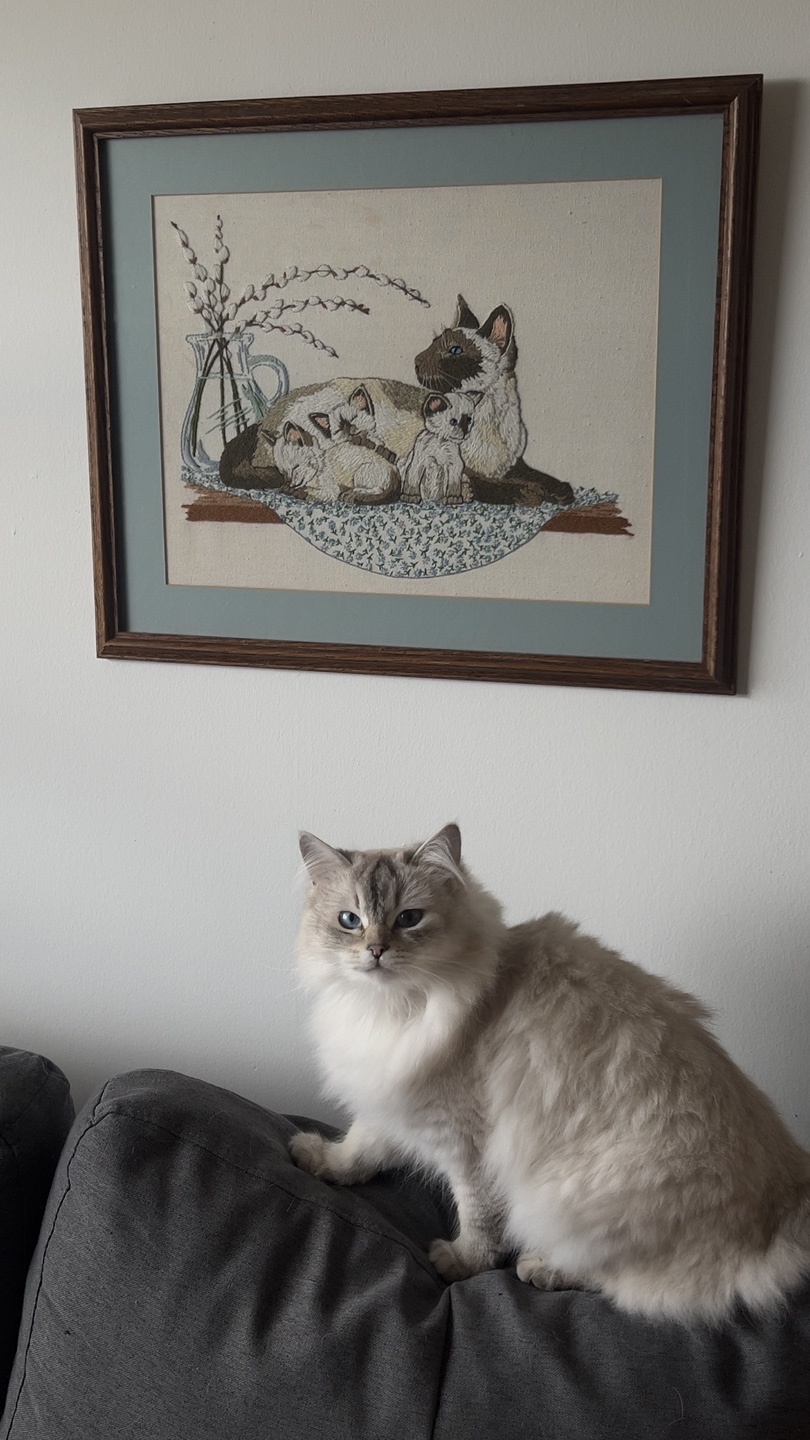 Framed Siamese Cat & Kittens Embroidery Art
