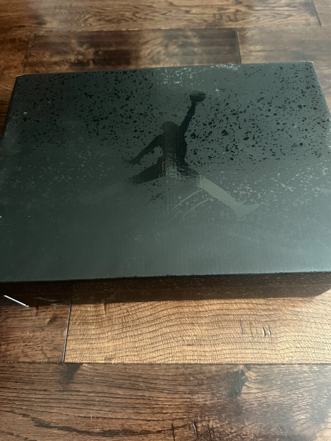 Air Jordan 4 Retro Black Cat