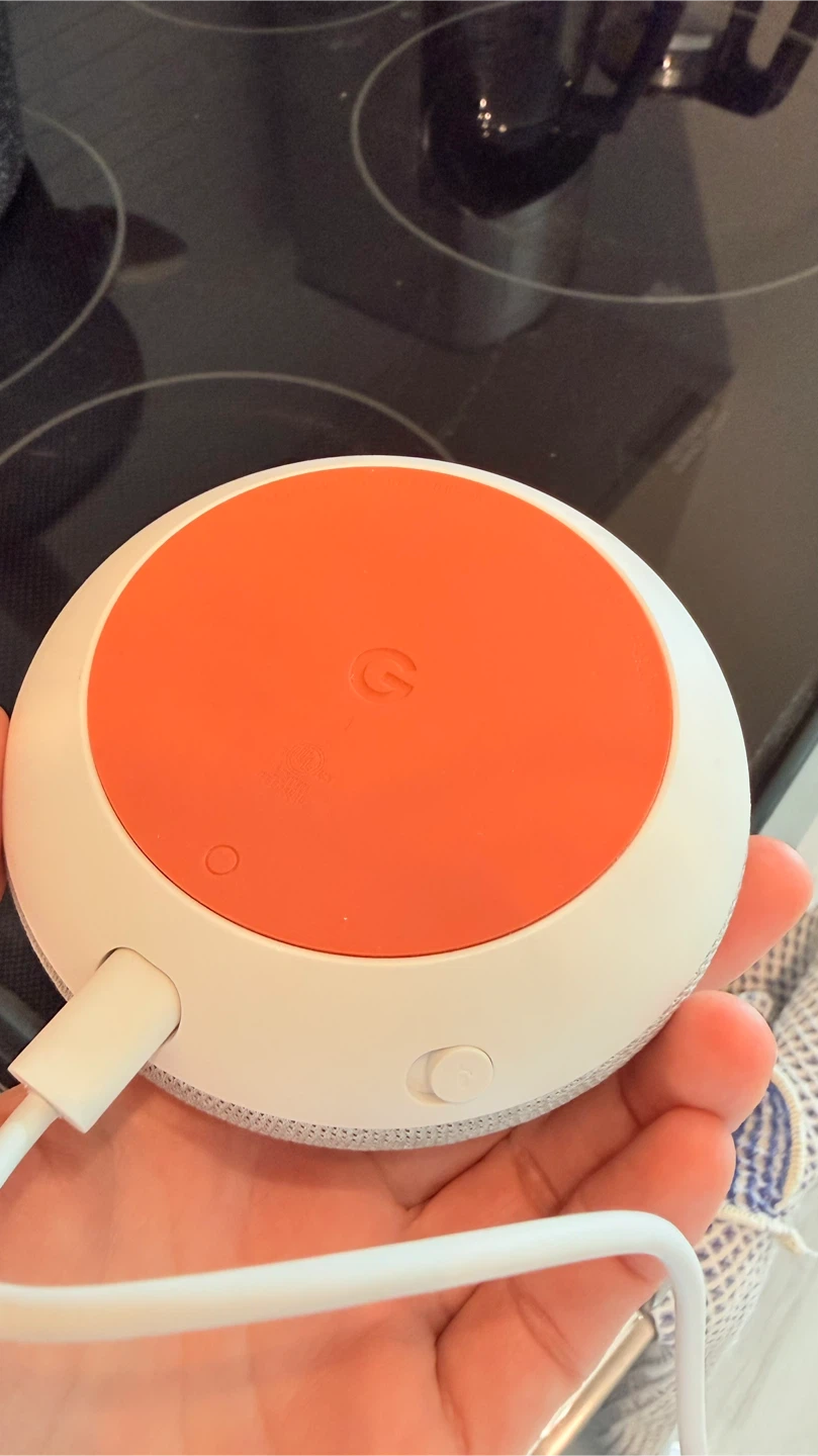 Google Nest Mini
