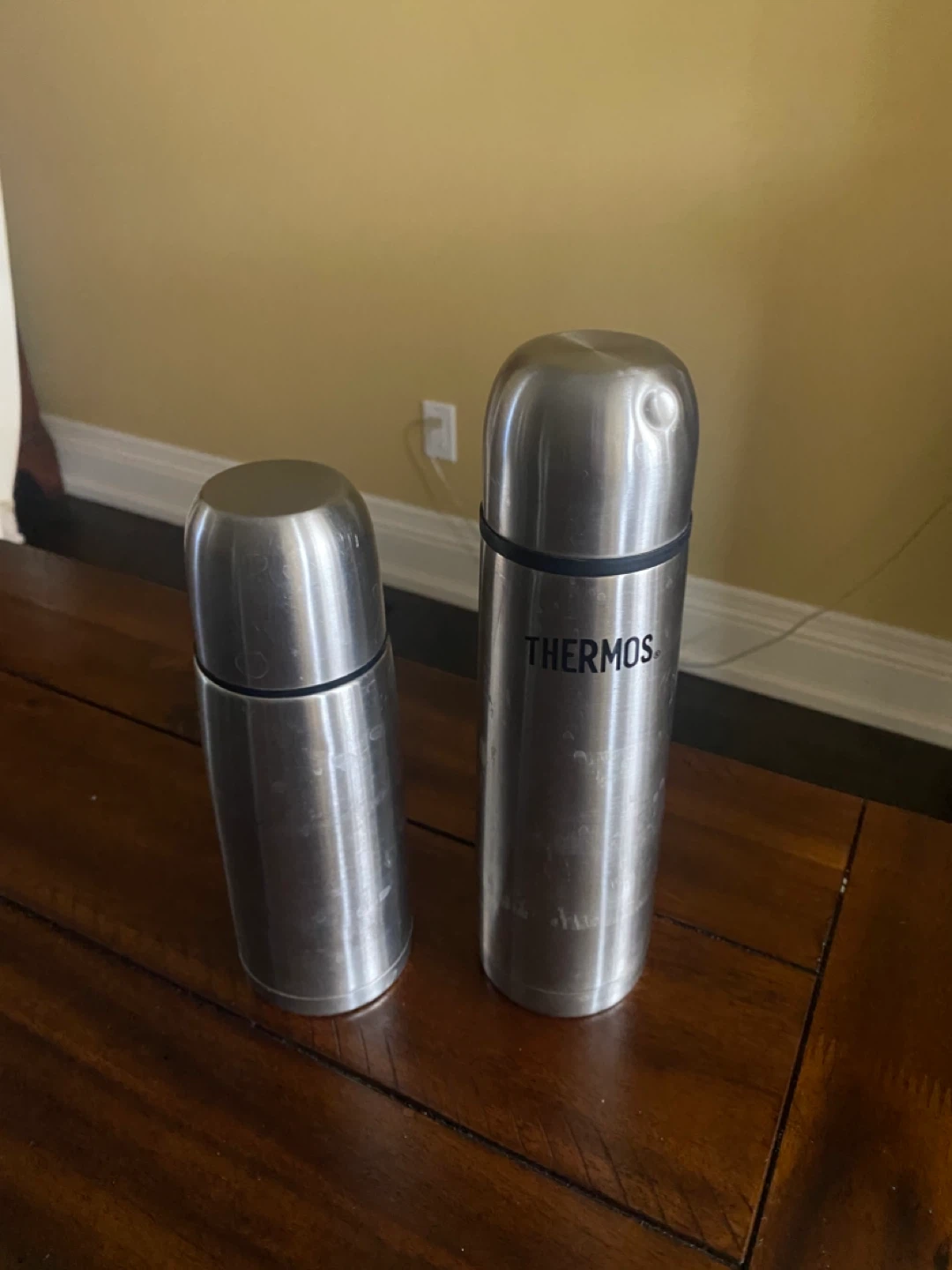 Thermos Stainless Steel Vacuum Insulated Bottles (Set of 2)
