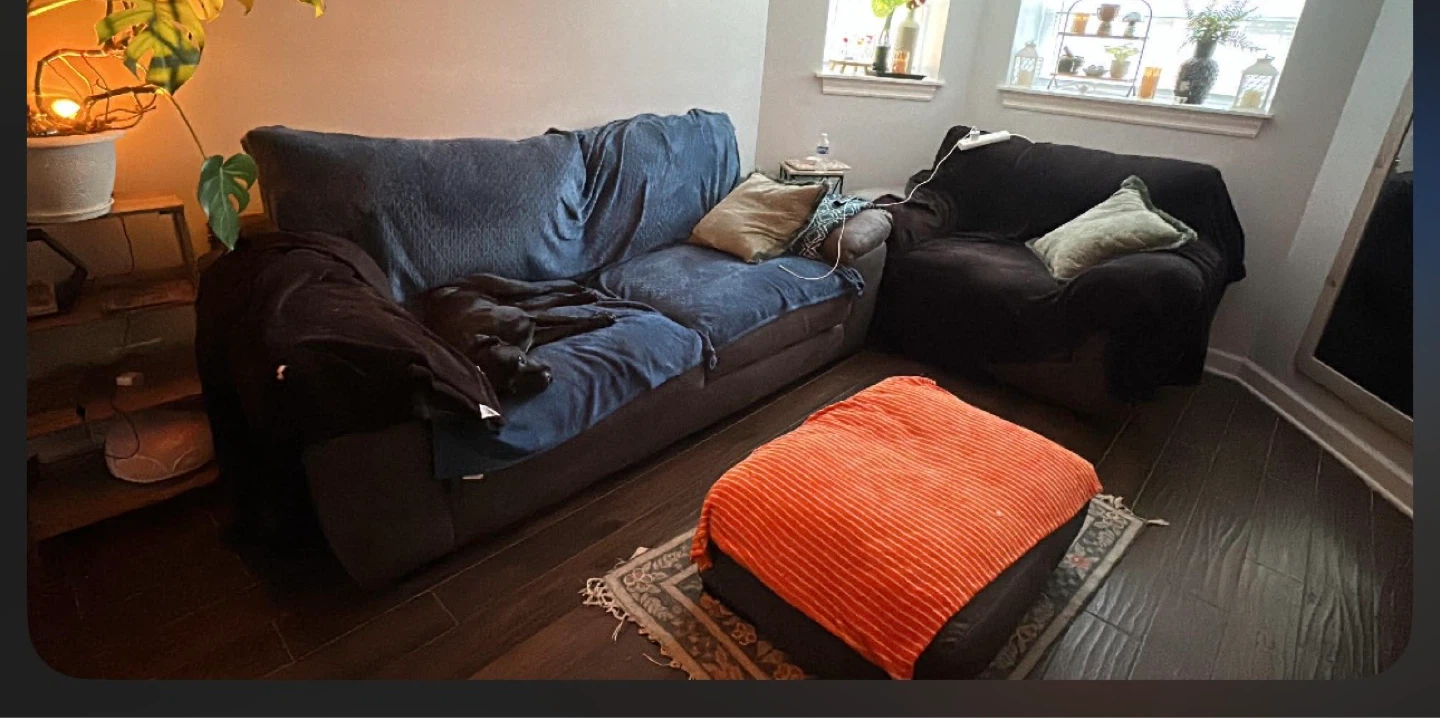Comfortable Upholstered Loveseat and Armchair Set - photo 2