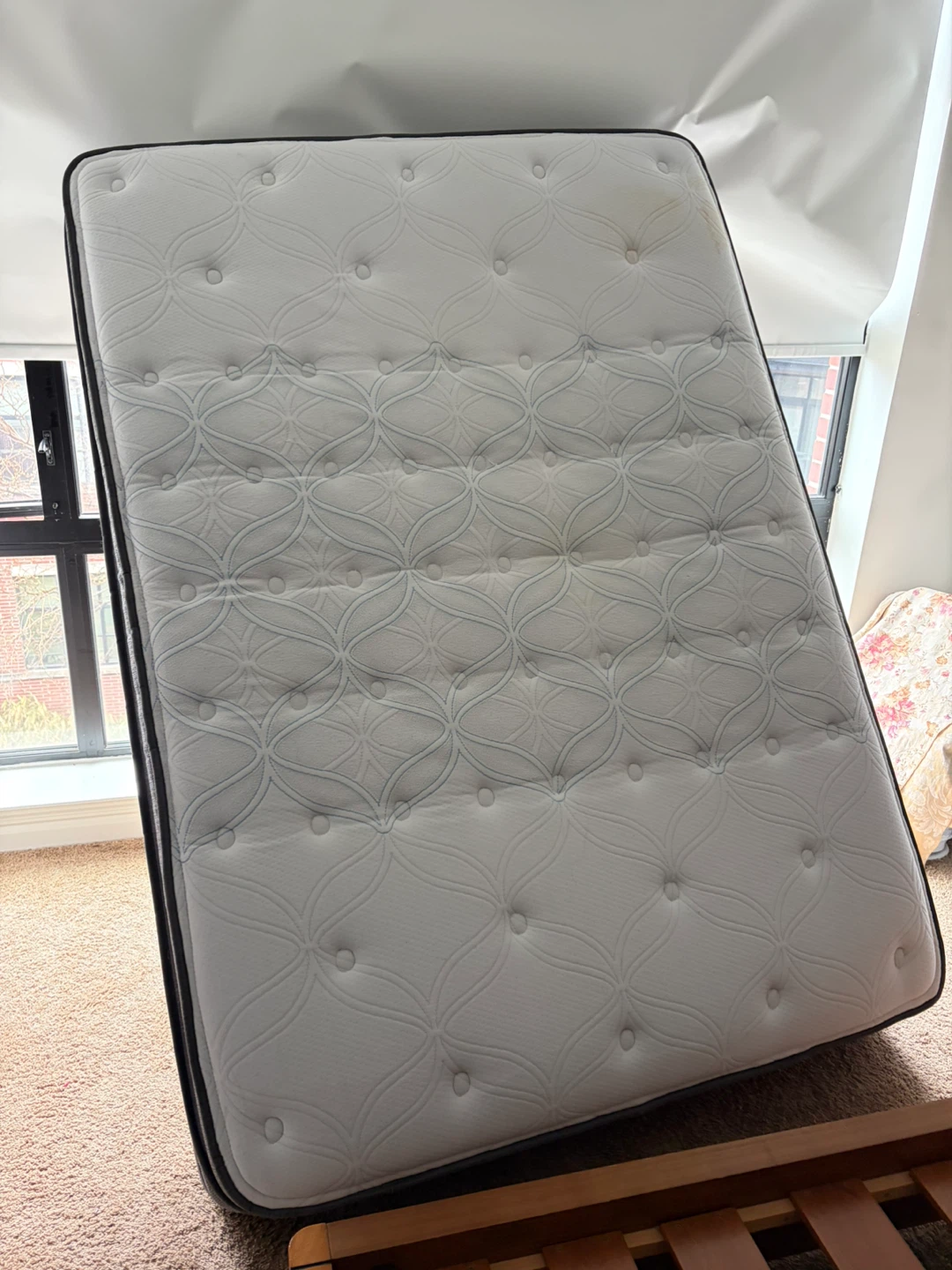 (Queen) Rose Castle Cushion Firm Euro Pillowtop Mattress - photo 3
