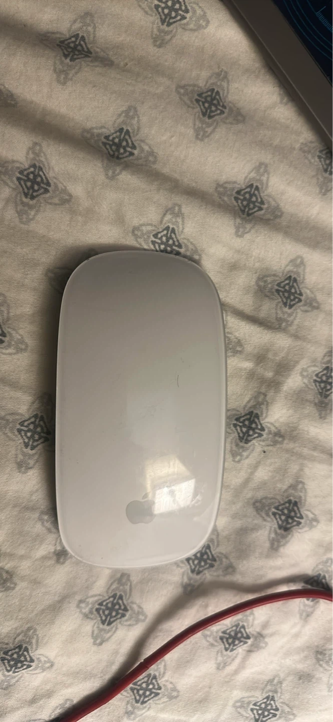 Apple Magic Mouse