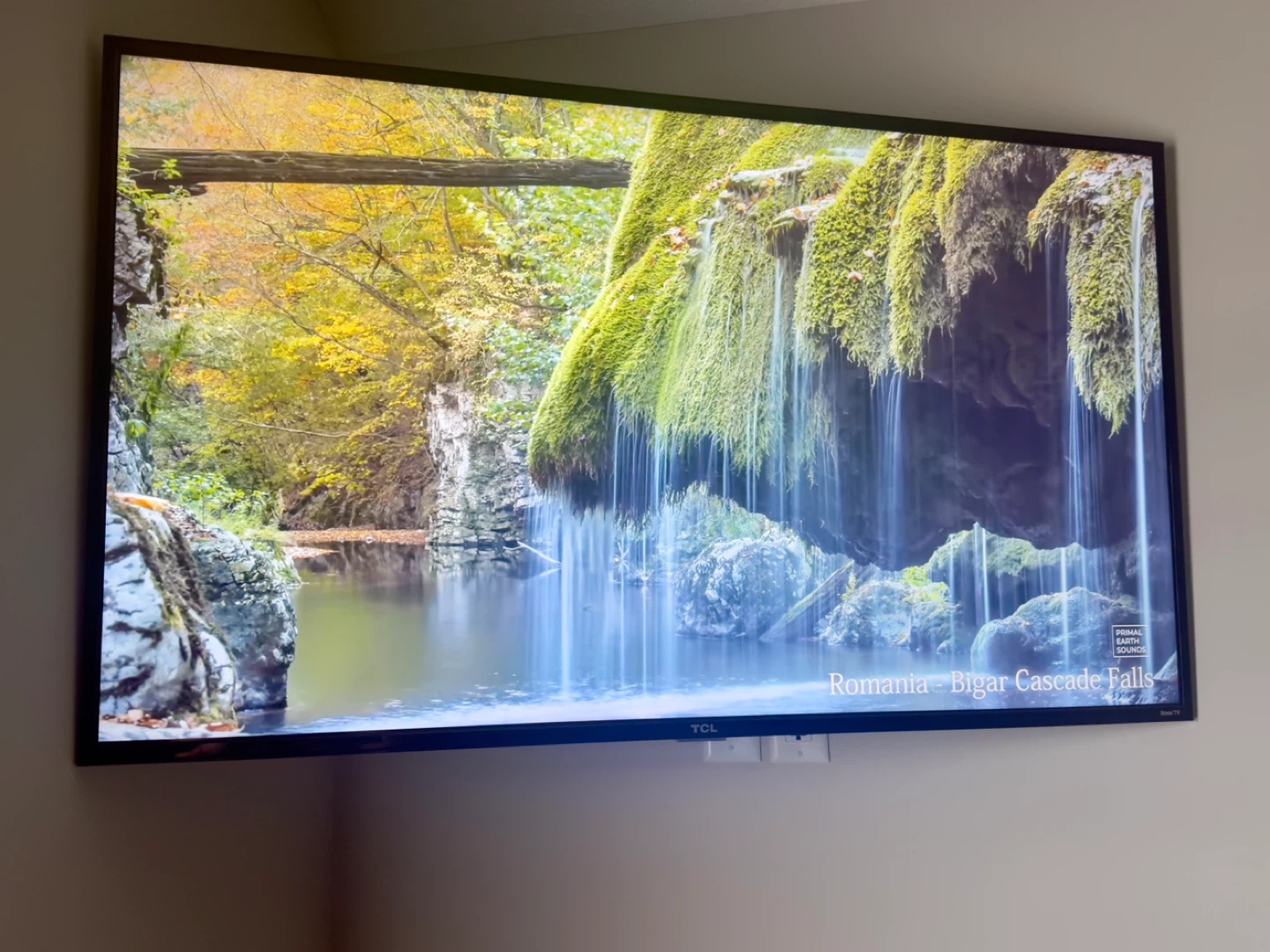 TV for sale 55 TCL Roku Smart TV 4K UHD HDR with box