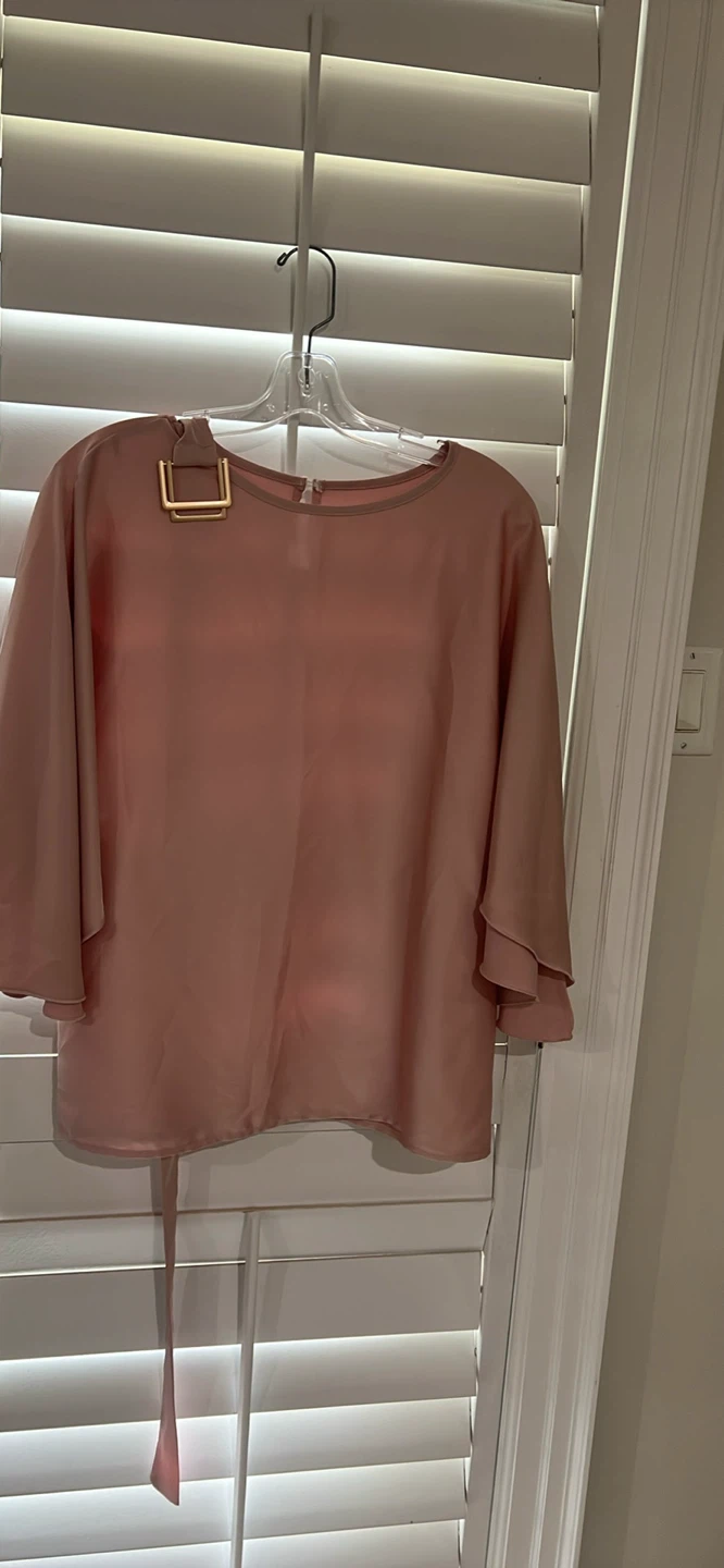 Blush Pink Blouse with Gold Buckle Detail