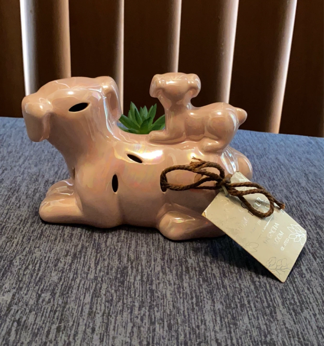 Pink Ceramic Dog Planter with Succulent - photo 4
