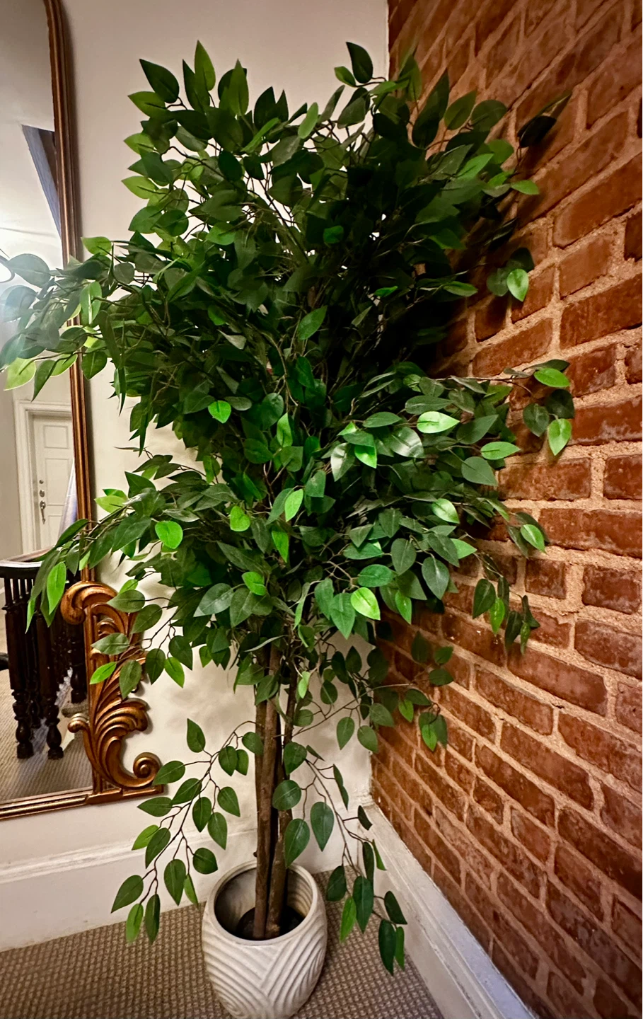 Artificial Ficus Tree in Ceramic  Pot - photo 3