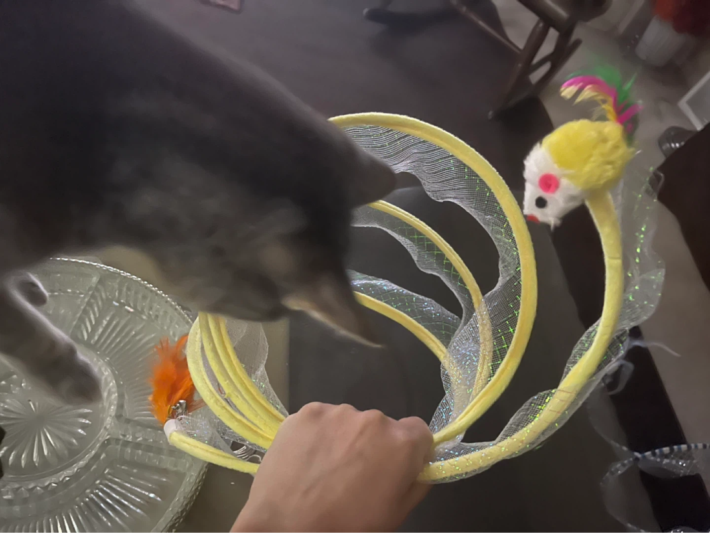 Interactive Cat Toy with Mouse and Feather - photo 4