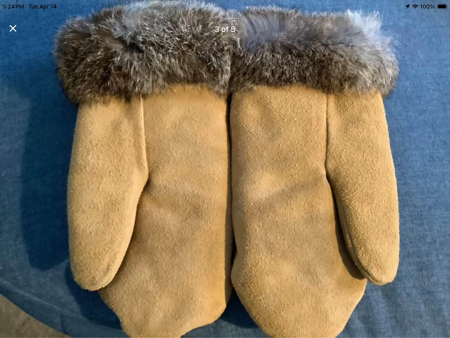 Vt Indigenous Suede Mittens with Fur Trim & a Beaded Design 🐞 - photo 3