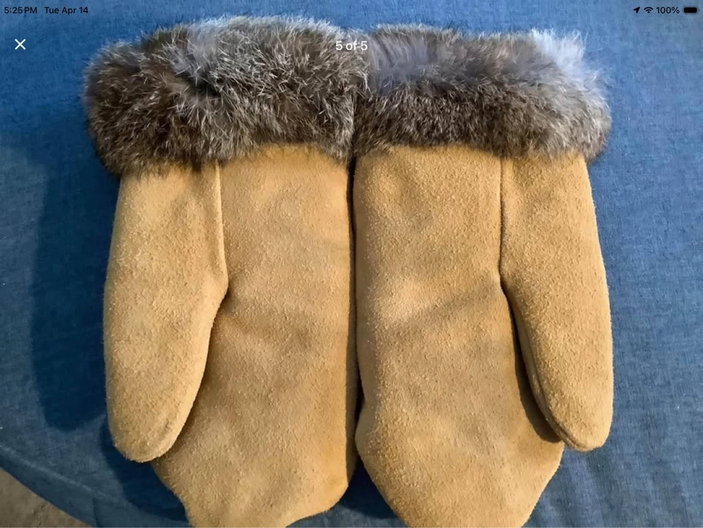 Vt Indigenous Suede Mittens with Fur Trim & a Beaded Design 🐞 - photo 5