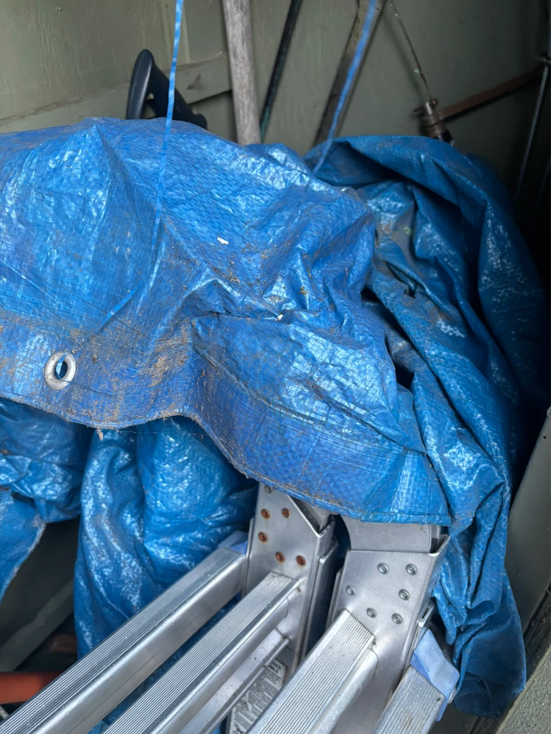 Blue Tarp