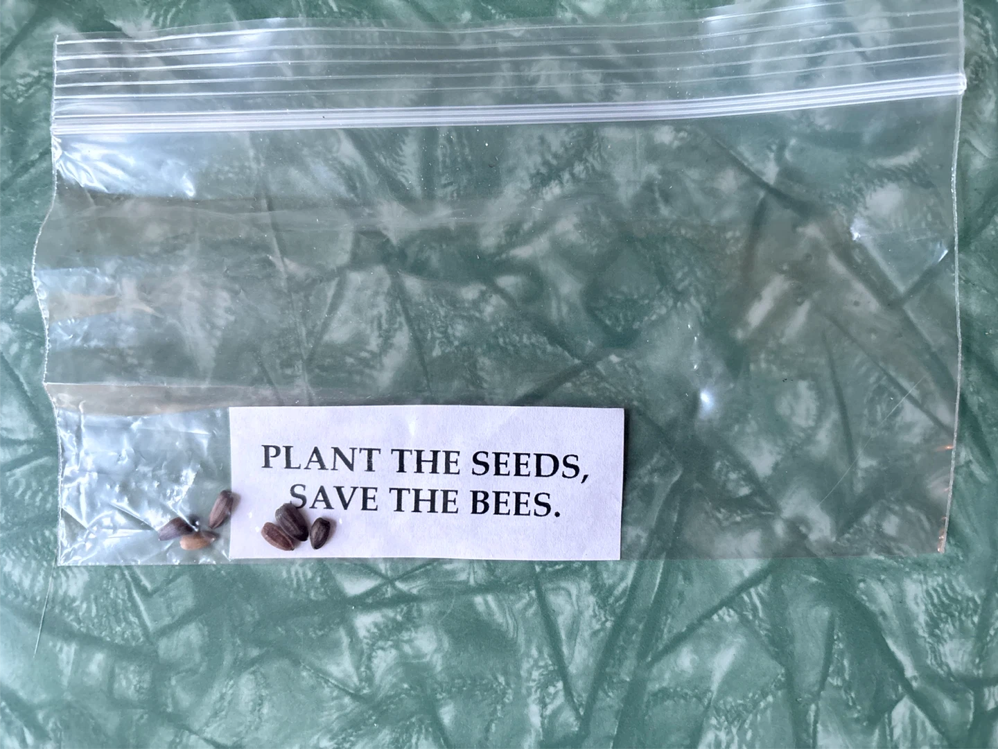 Bee-friendly flower seeds