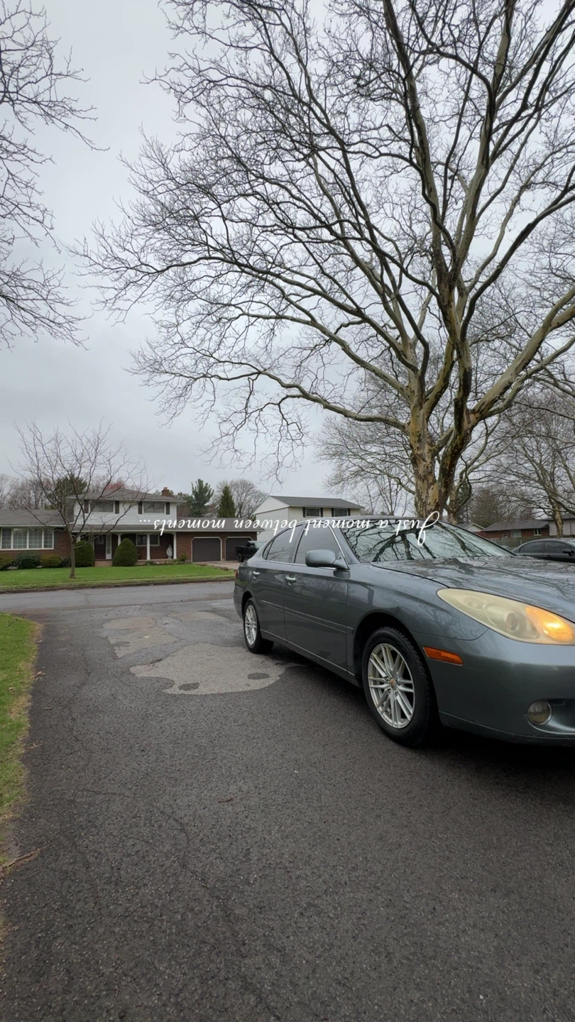 Lexus ES330 Sedan