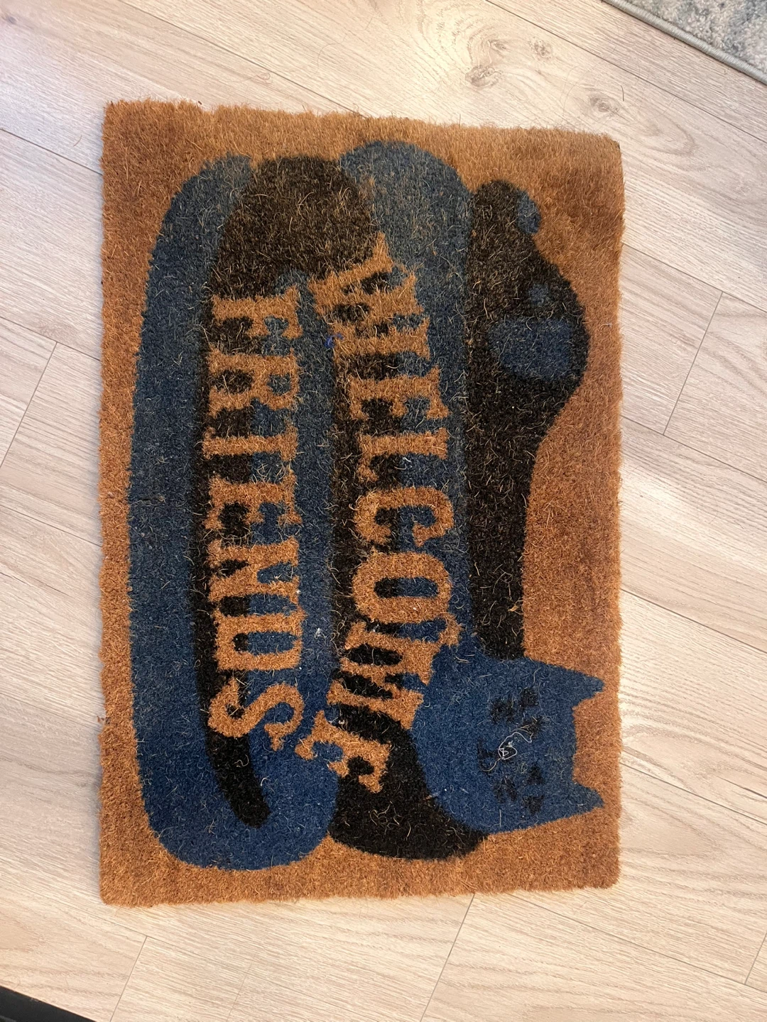 Welcome Friends Doormat with Cat Design
