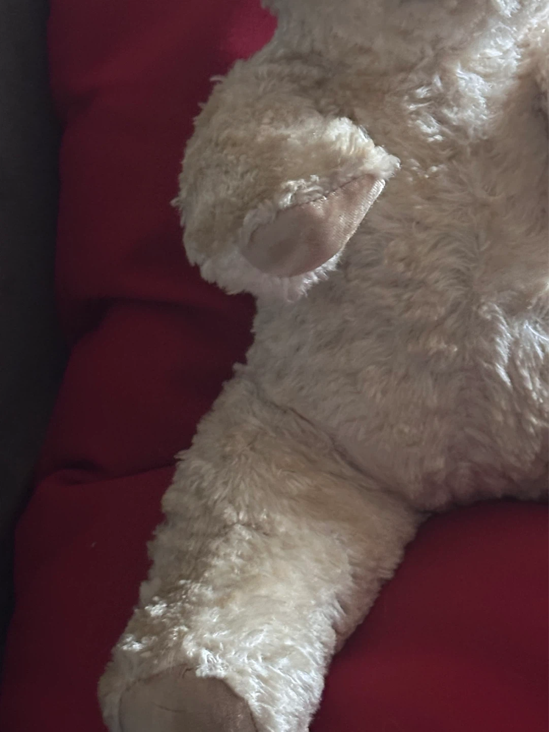1920’s Knickerbocker White Sitting Teddy Bear - photo 4