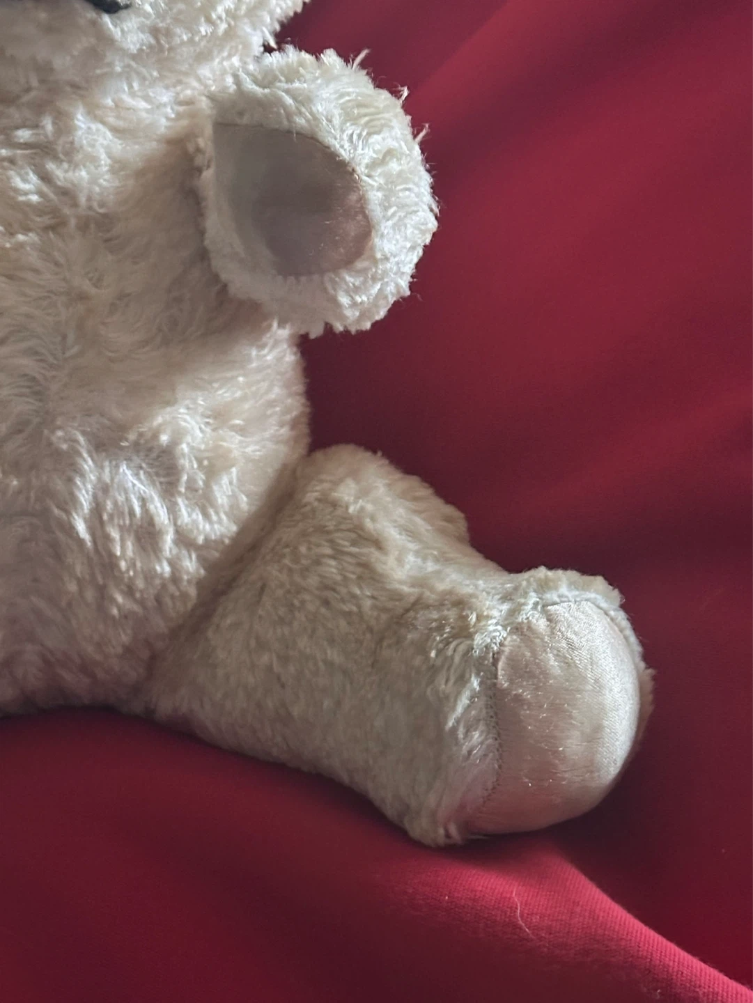 1920’s Knickerbocker White Sitting Teddy Bear - photo 5