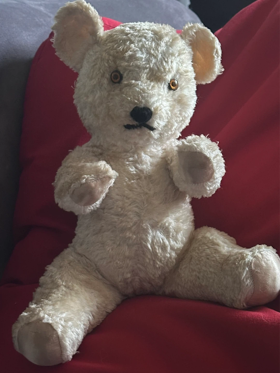 1920’s Knickerbocker White Sitting Teddy Bear