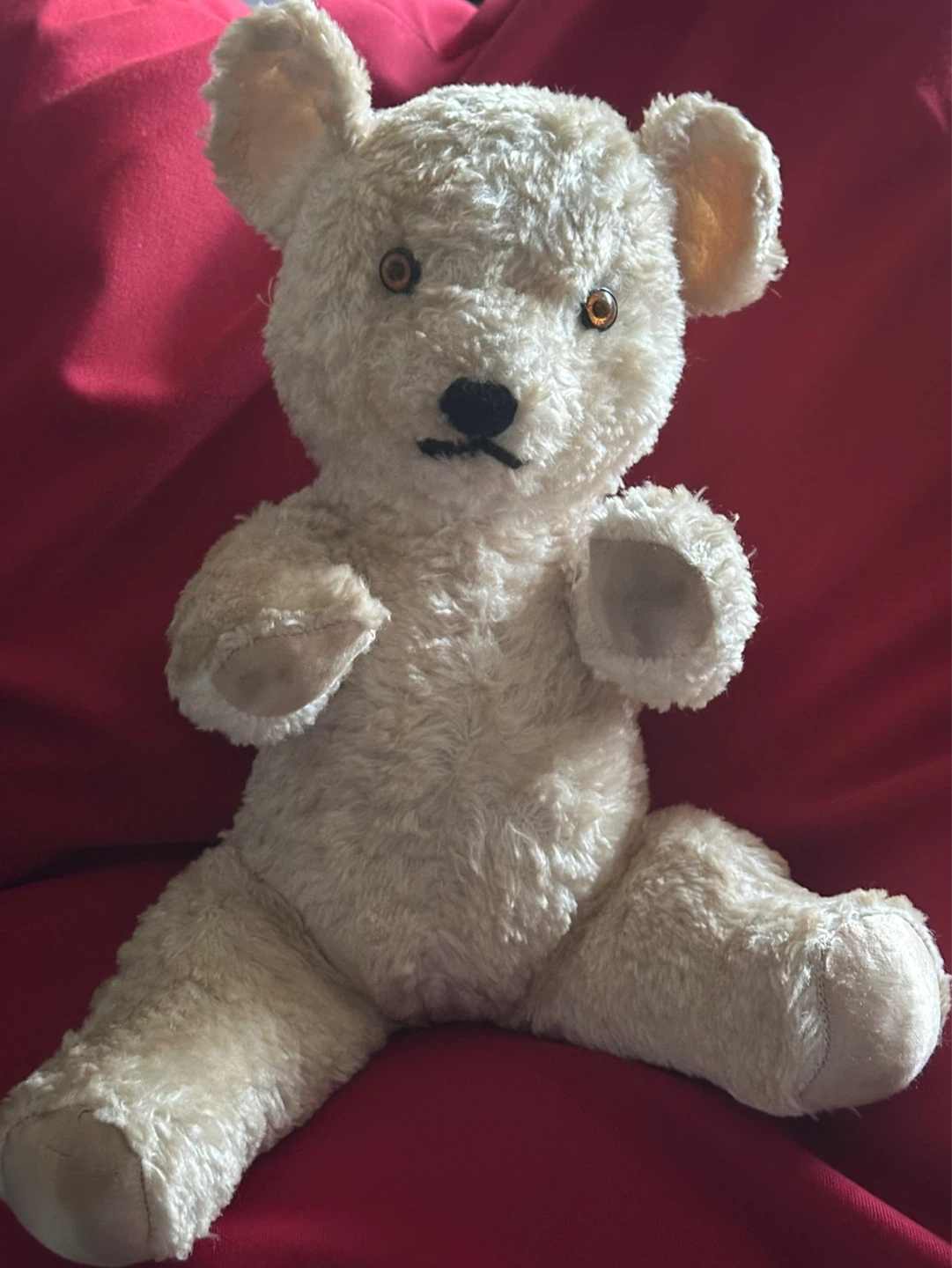 1920’s Knickerbocker White Sitting Teddy Bear - photo 2