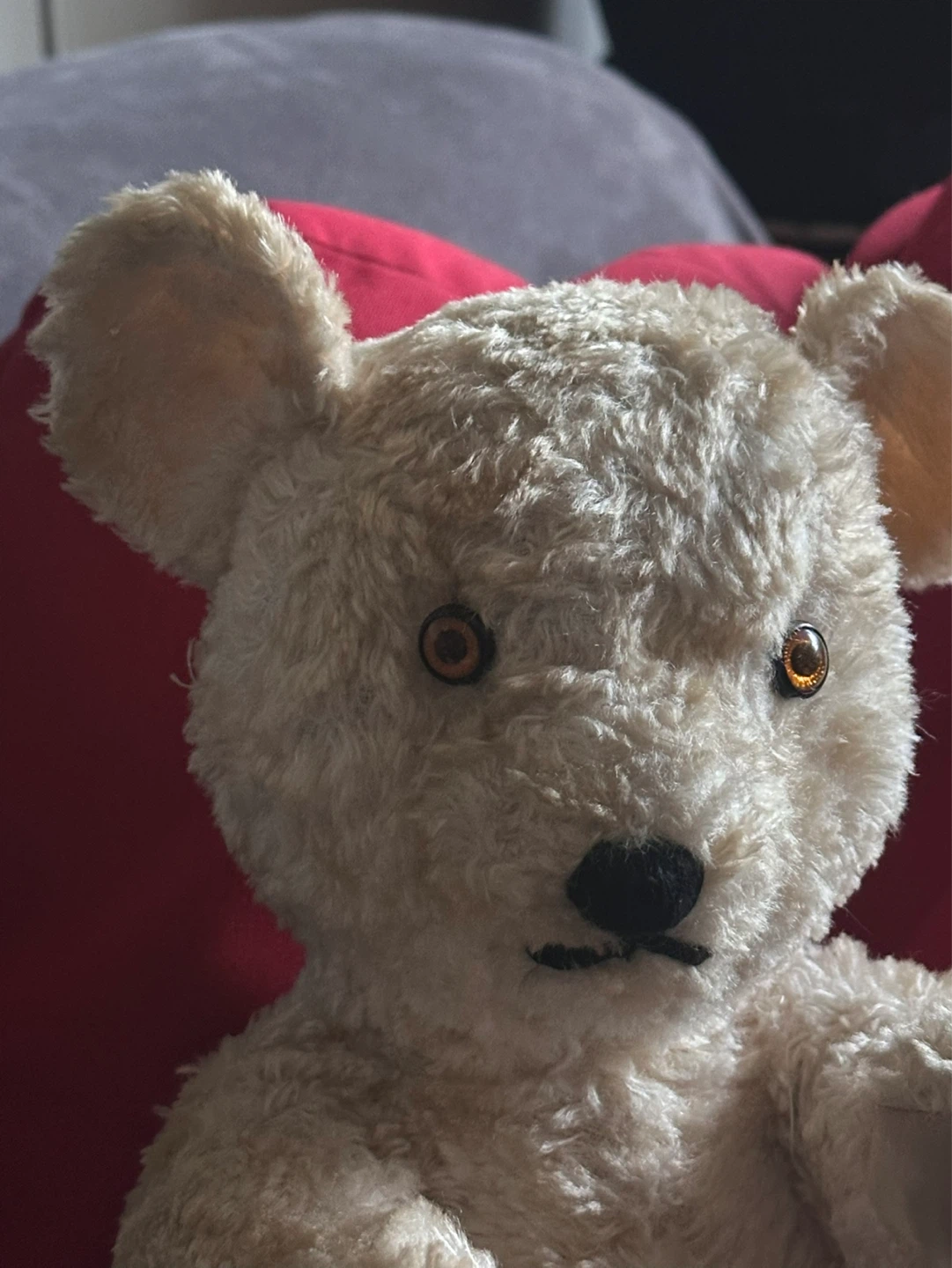 1920’s Knickerbocker White Sitting Teddy Bear - photo 3