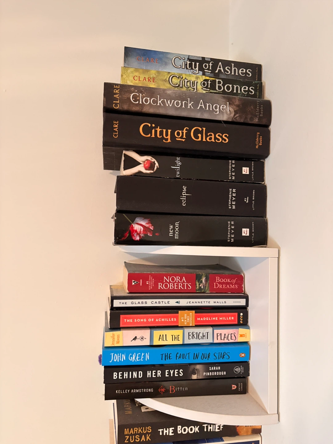 Assorted Young Adult and Fiction Books - photo 3