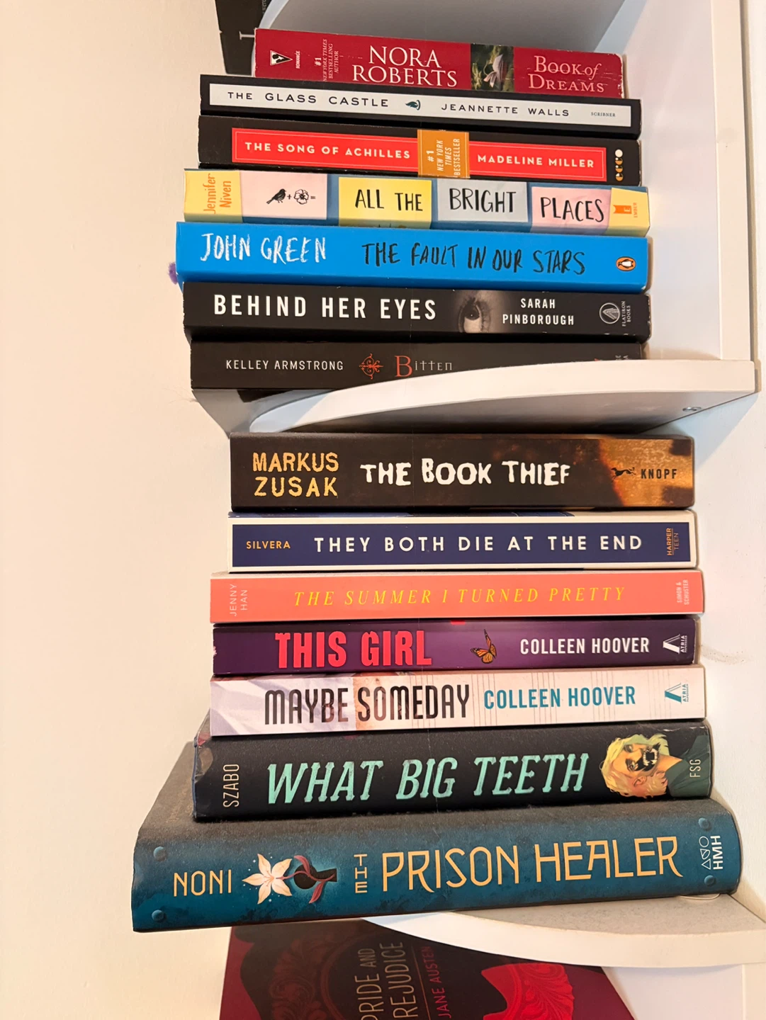 Assorted Young Adult and Fiction Books - photo 2