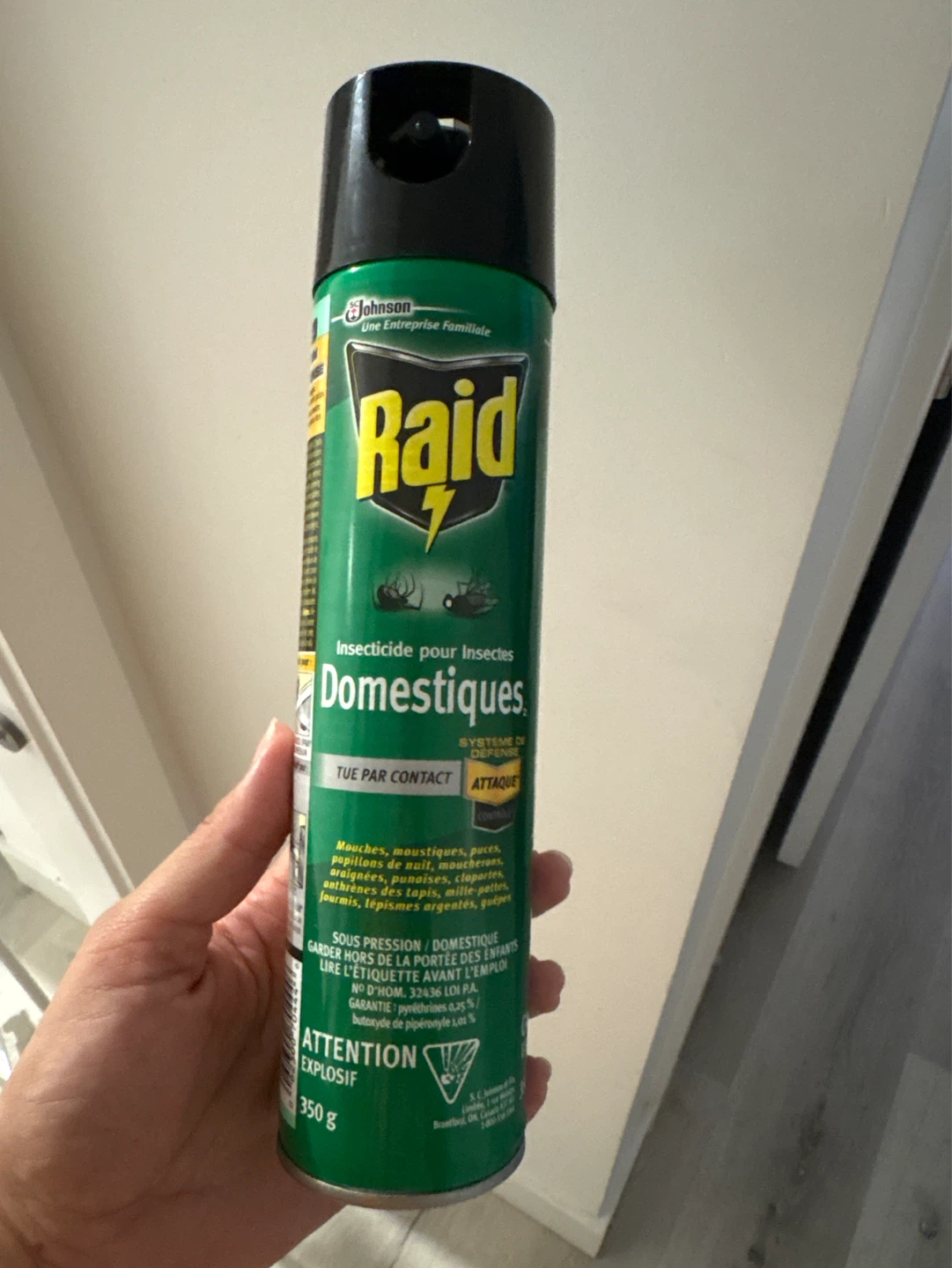 Raid Domestic Insecticide Spray - 350 g