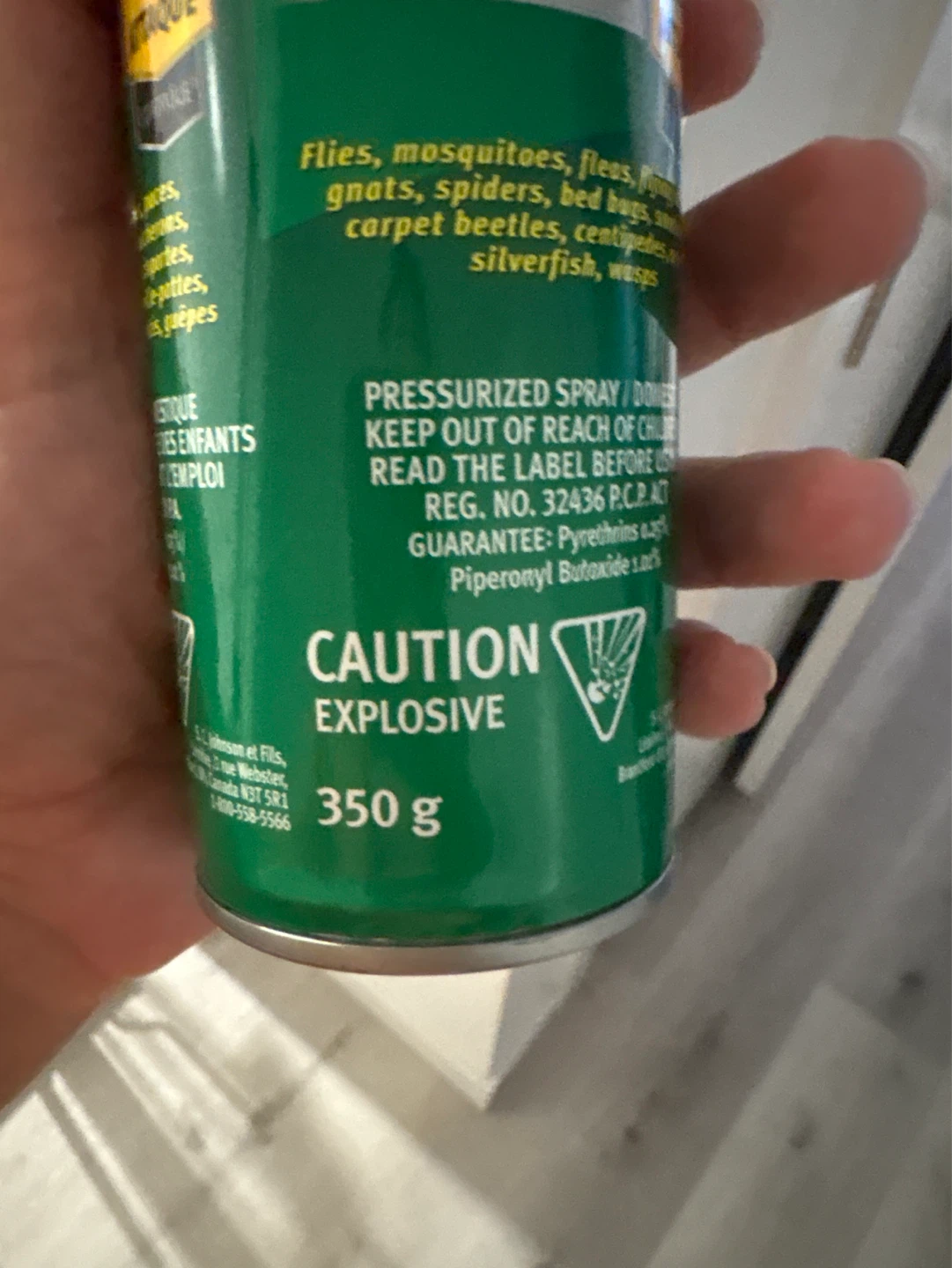 Raid Domestic Insecticide Spray - 350 g - photo 2