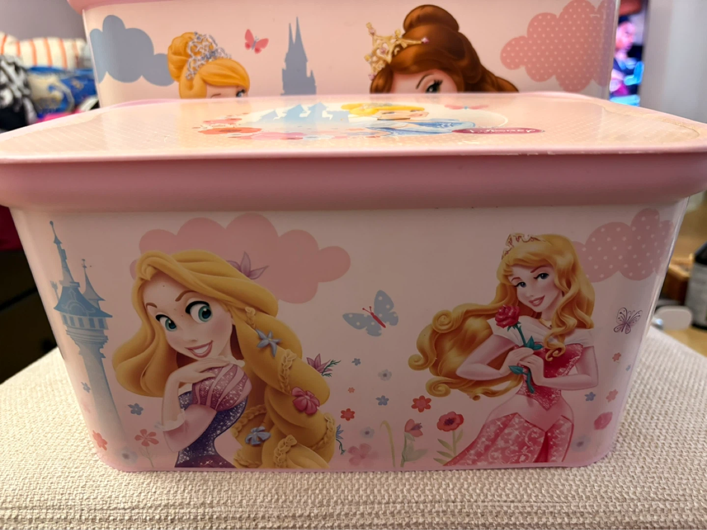 Disney Princess Storage Container