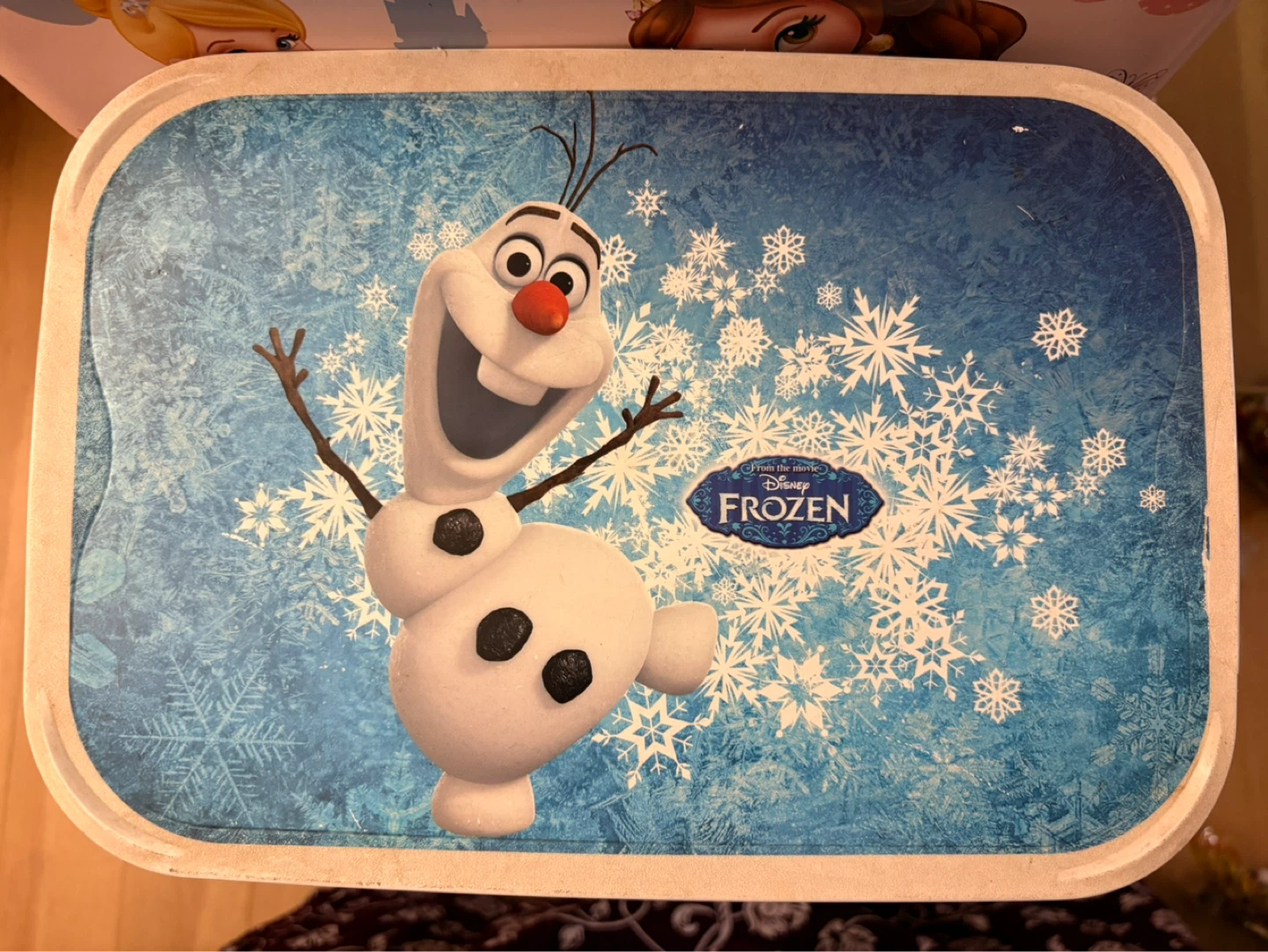 Disney Frozen Storage Container