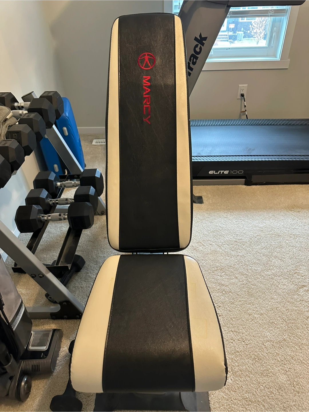 Workout Bench