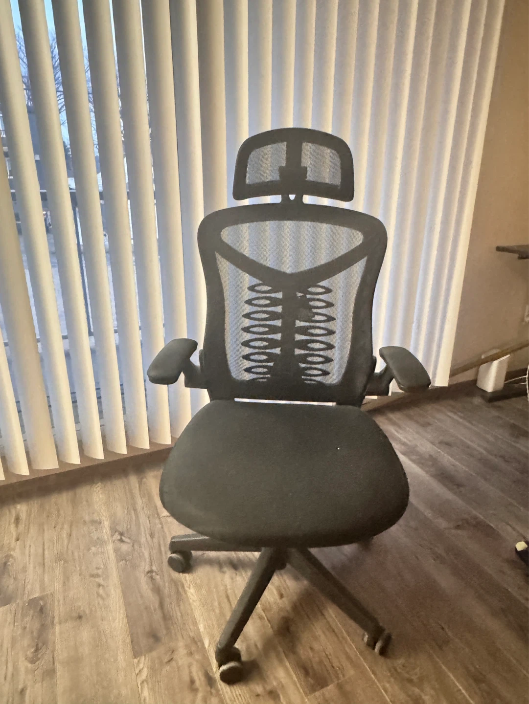 Ergonomic Mesh Office Chair