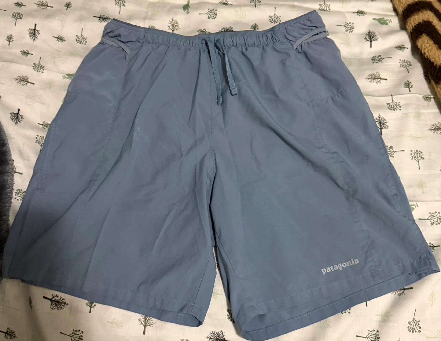 Patagonia Men's Blue Running Shorts