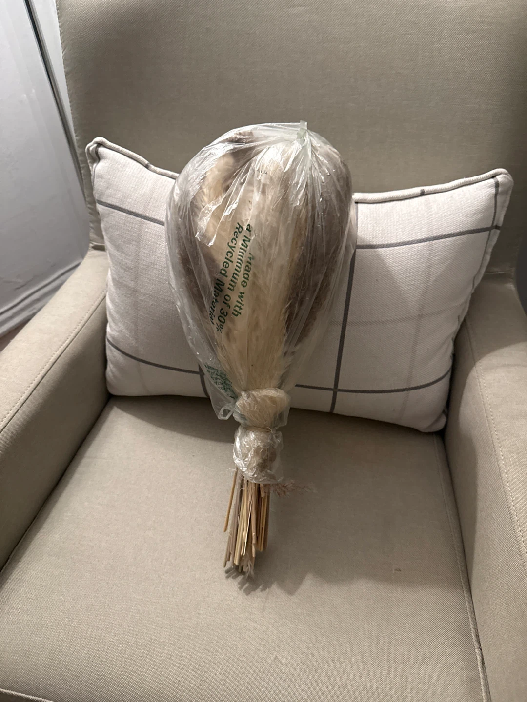 Pampas Grass Bunch - photo 2