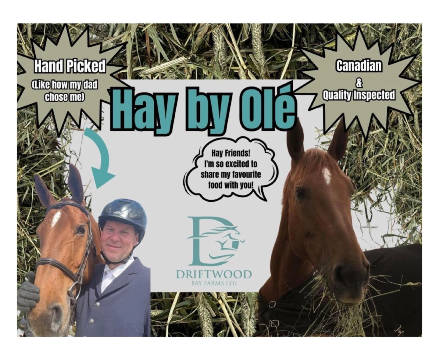 Hay by Olé 2nd Cut Timothy Hay - 5lb Box