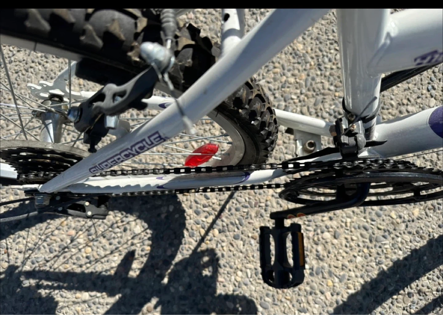 Supercycle 1800 White Mountain Bike - photo 5