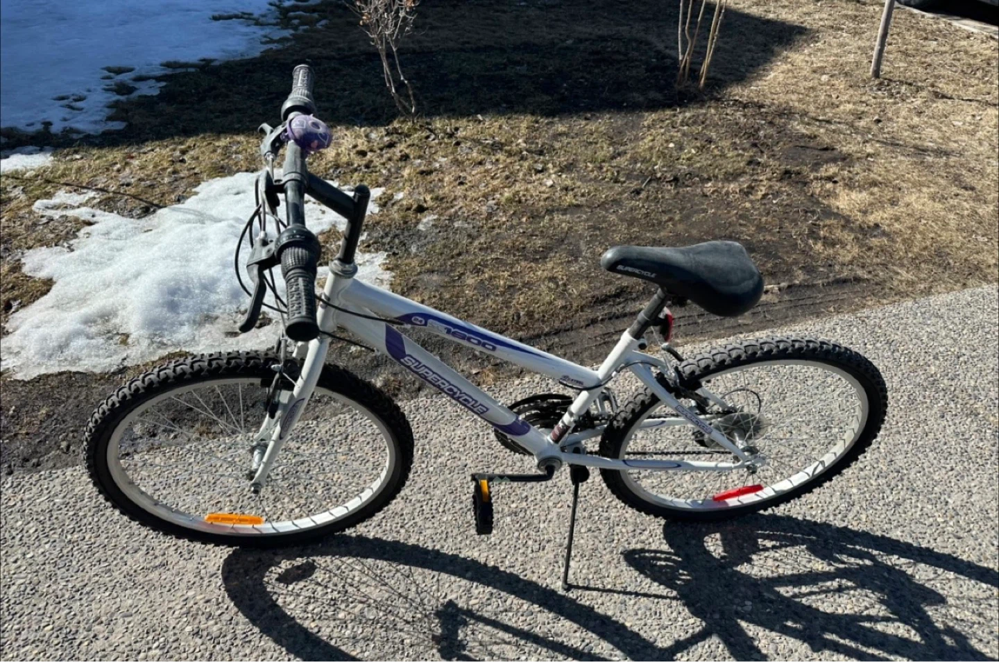 Supercycle 1800 White Mountain Bike