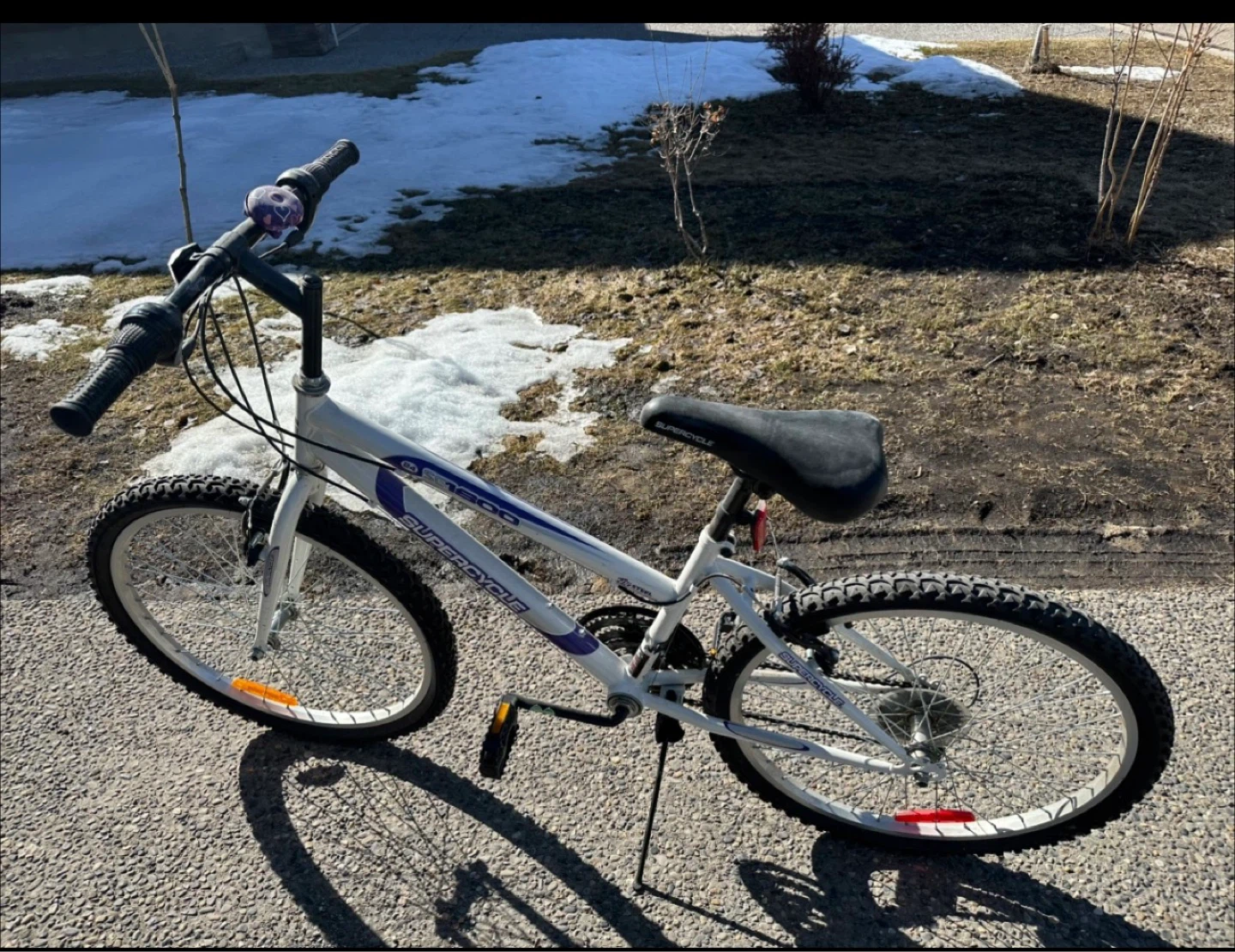 Supercycle 1800 White Mountain Bike - photo 4