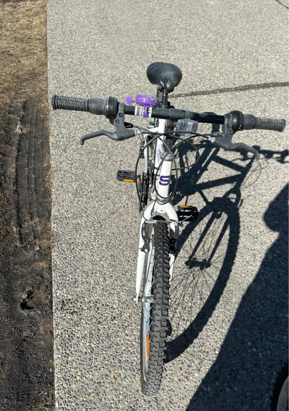 Supercycle 1800 White Mountain Bike - photo 2