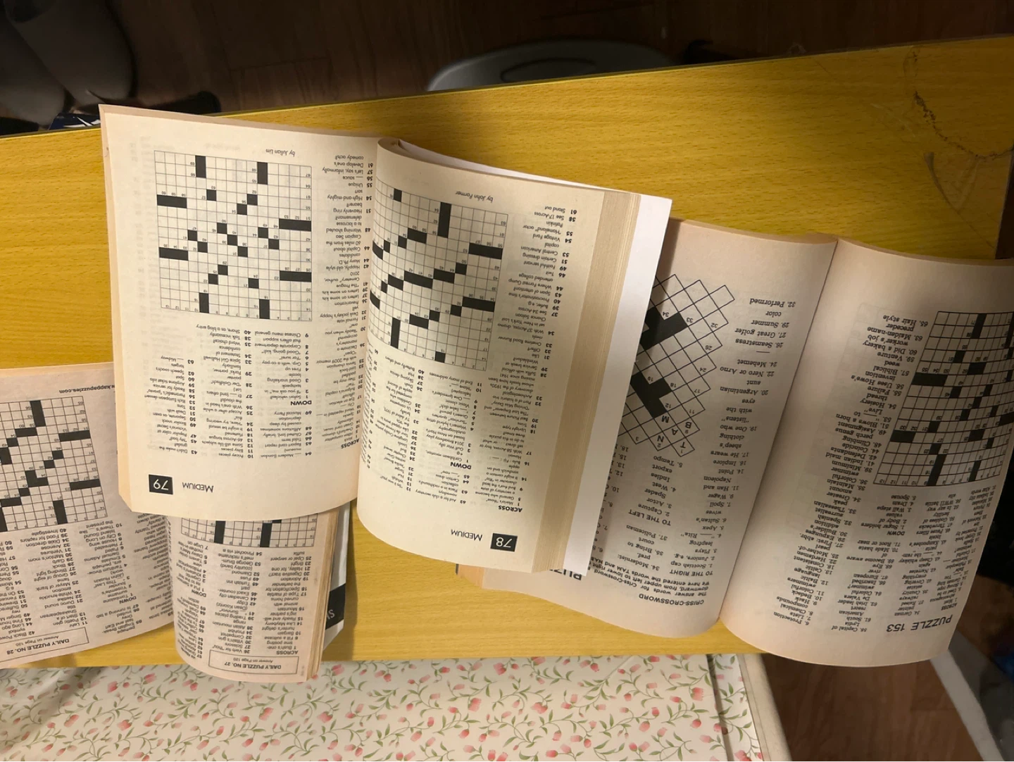 3 Puzzle Books: Will Shortz, Family Favorites, Challenge - photo 2