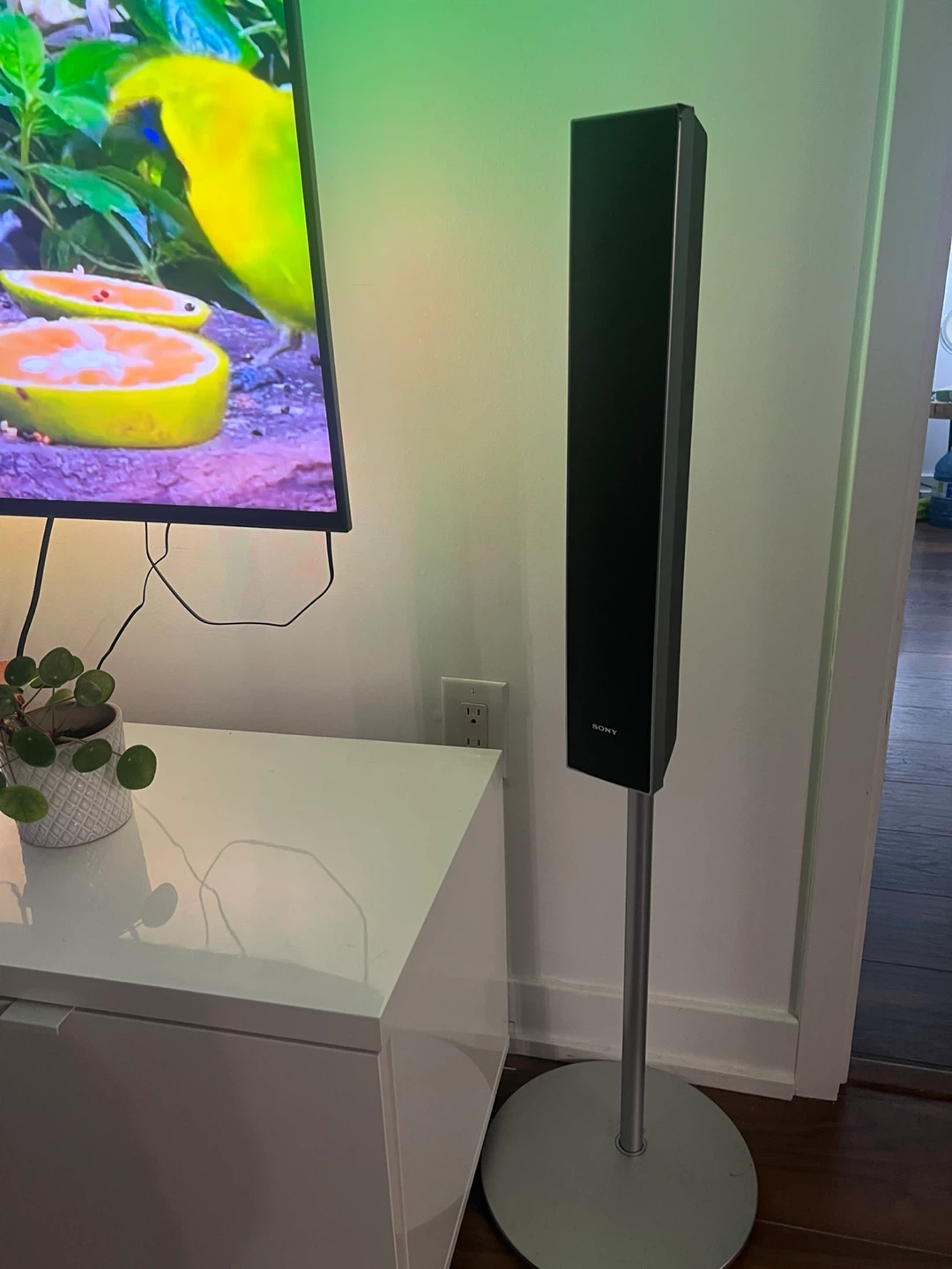 Sony Speaker System - photo 2