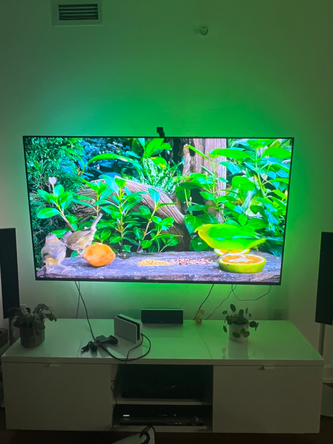 Sony Speaker System - photo 4
